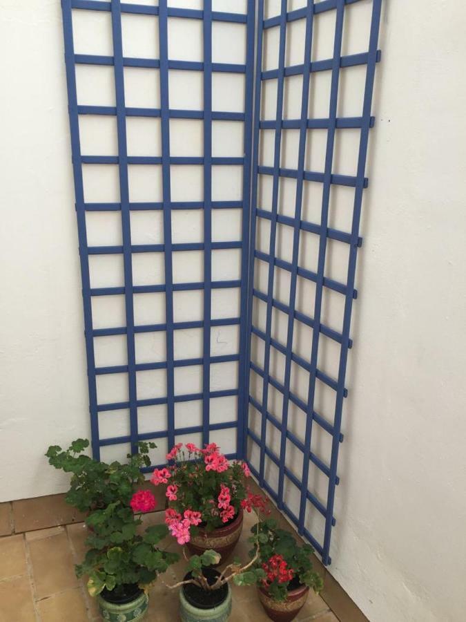 Apartamento Balneario Playa Caleta Cadice Esterno foto
